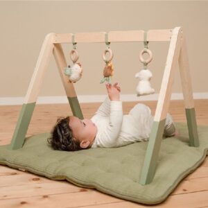 BABY GYM FUSTA GRANJA