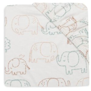 BAIXERA 60X120 ELEPHANT