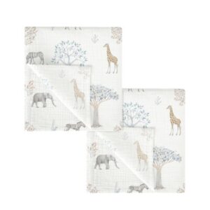 SET 2 GASETES 60x60 TANZANIA