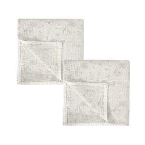 SET 2 GASETES 60X60 NOE